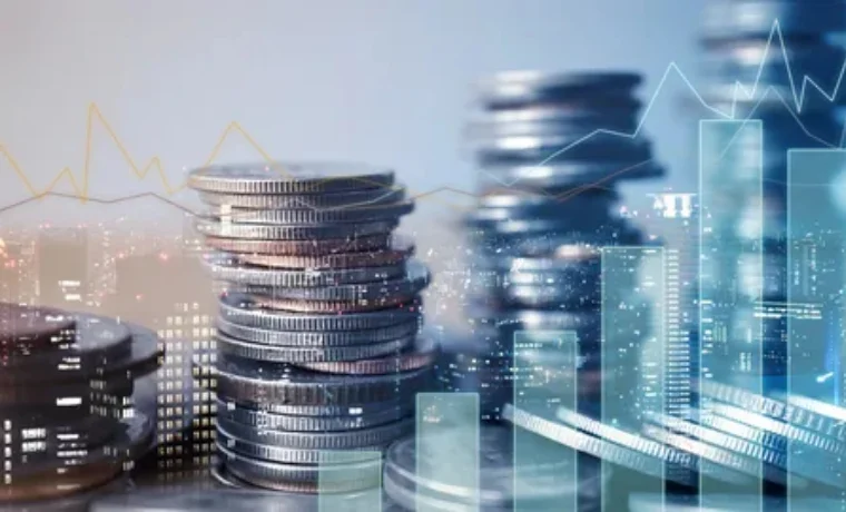 كيف تساعدك Nera Group في تطوير شركتك؟